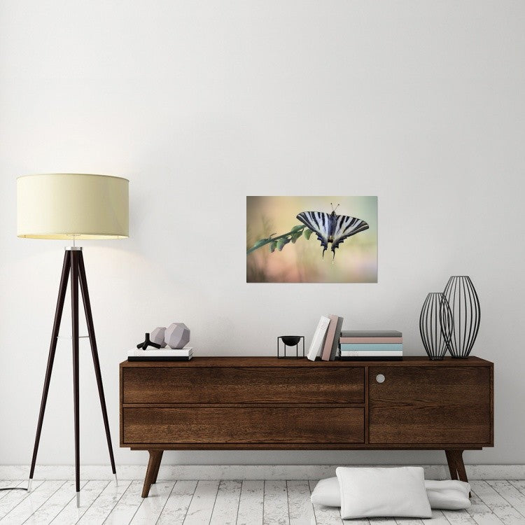 "Chupa Leche" Stretched Canvas Giclee by Jimmy Hoffman, 30"x20"