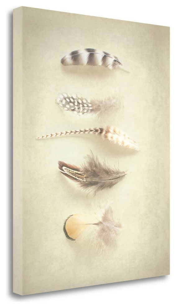 "Feathers III" By Elizabeth Urquhart, Giclee Print on Gallery Wrap Canvas