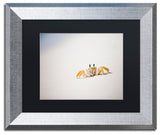 "Ghost Crab 7" Framed Art by Yale Gurney, Silver, Black, 14"x11"