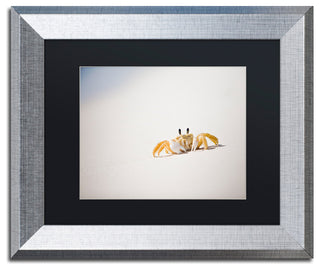 "Ghost Crab 7" Framed Art by Yale Gurney, Silver, Black, 14"x11"