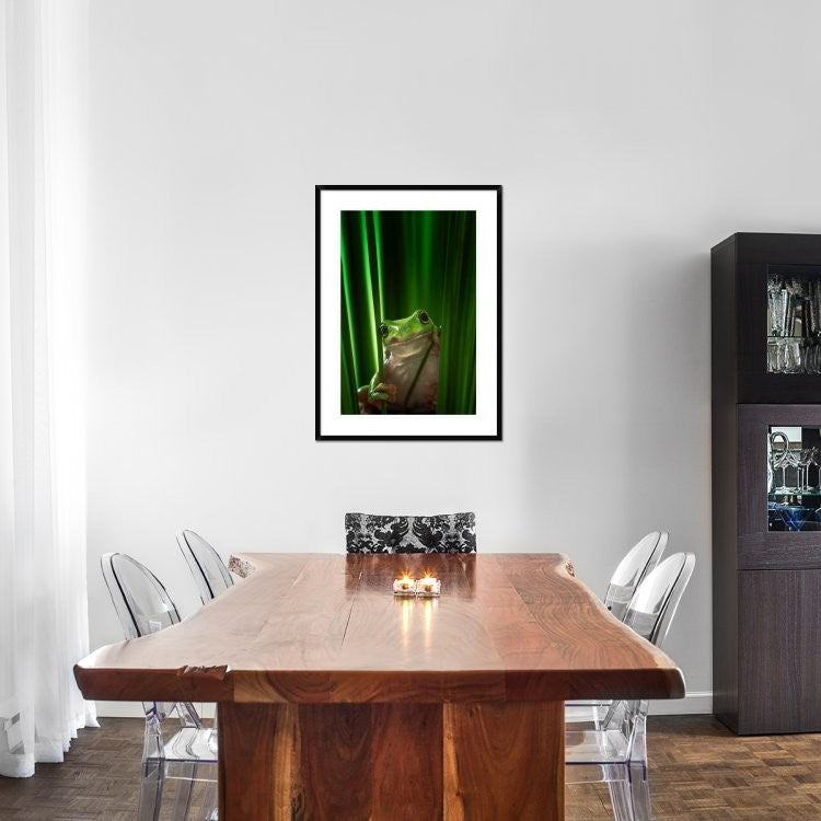 "Green Frog" Framed Digital Print by Ahmad Gafuri, 28"x38"