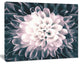 Macro Chrysanthemum Flower, Flowers Canvas Wall Artwork, 20"x12"