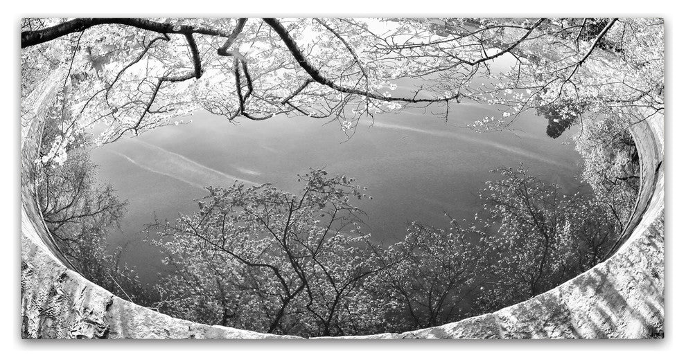CATeyes ''Reflection'' Canvas Art, 47x24