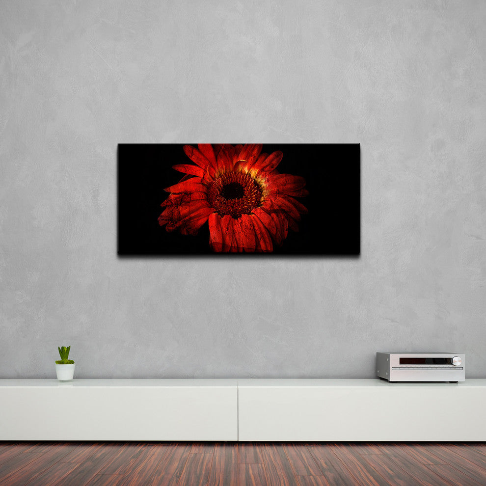 Daisy in Red Canvas Wall Art