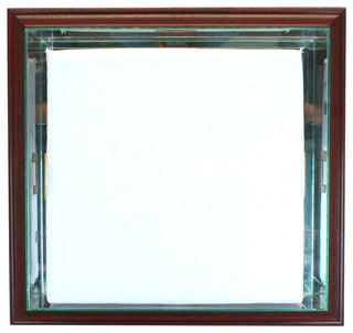 Wall Mounted Base Display Case