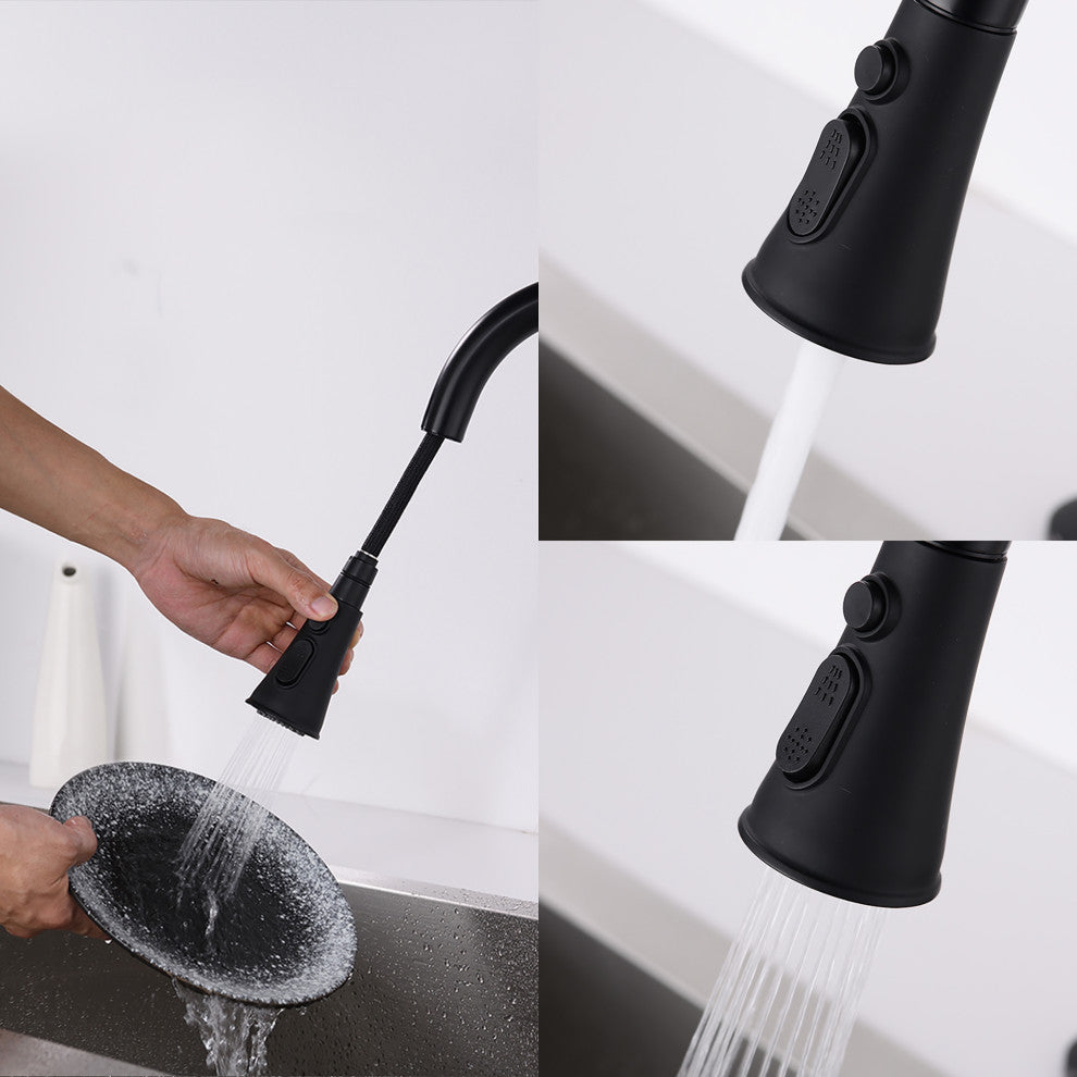 Single Handle Deck Mounted High Arc Pull Down Kitchen Faucet with Sprayer, Matte