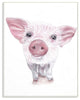 Cute Baby Piglet Up Close Illustration Wall Plaque Art, 10"x15"