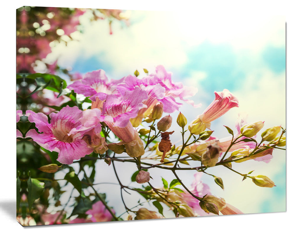 Pink Flowers in Hawaiian Garden, Large Flower Canvas Wall Art, 20"x12"