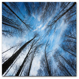 Philippe Sainte-Laudy 'Blue Crunch' Canvas Art, 35"x35"