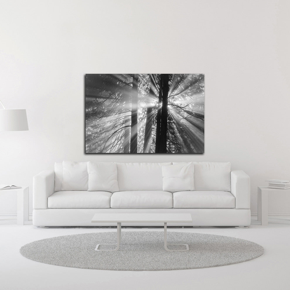 Rays by Tim Oldford, Print on Canvas, 45"x30"