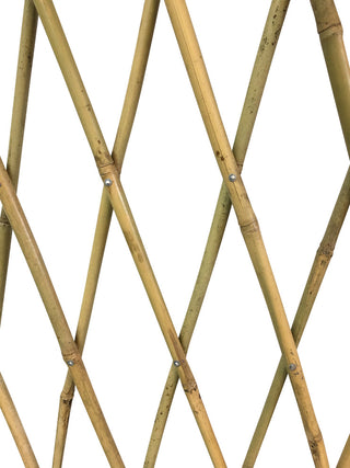 Expandable  Bamboo Poles Trellis, 36"