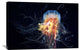 "Giant LionS Mane" Stretched Canvas Giclee by Alexander Semenov, 36x24"