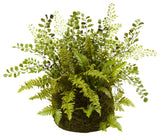 Mixed Fern With Twig and Moss Basket
