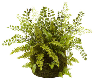 Mixed Fern With Twig and Moss Basket