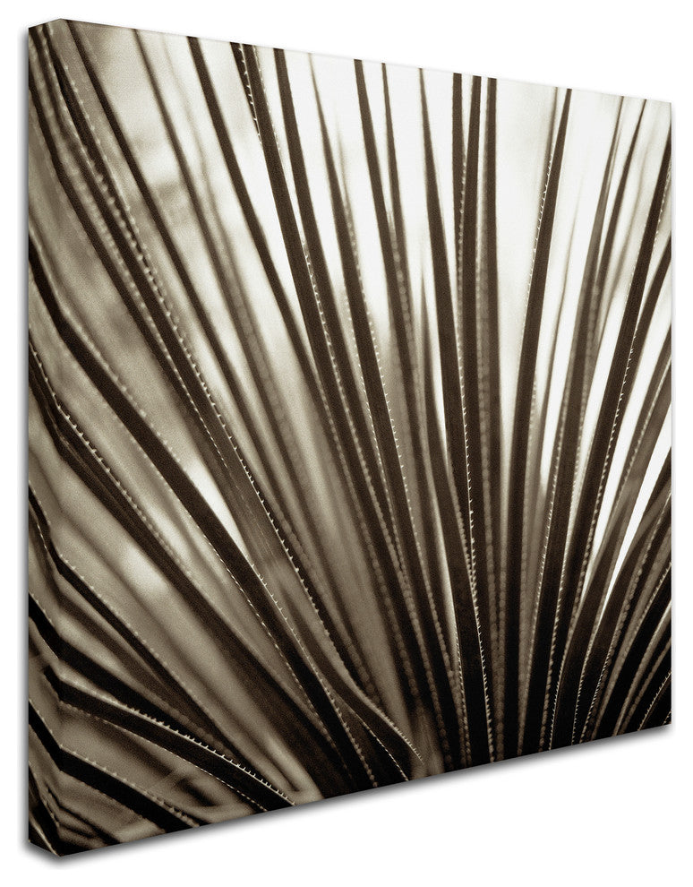 Alan Blaustein ''Florison 48'' Canvas Art, 14x14