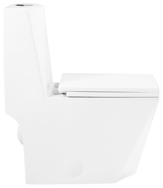 Brusque One-Piece Square Toilet Dual-Flush 1.1/1.6 gpf