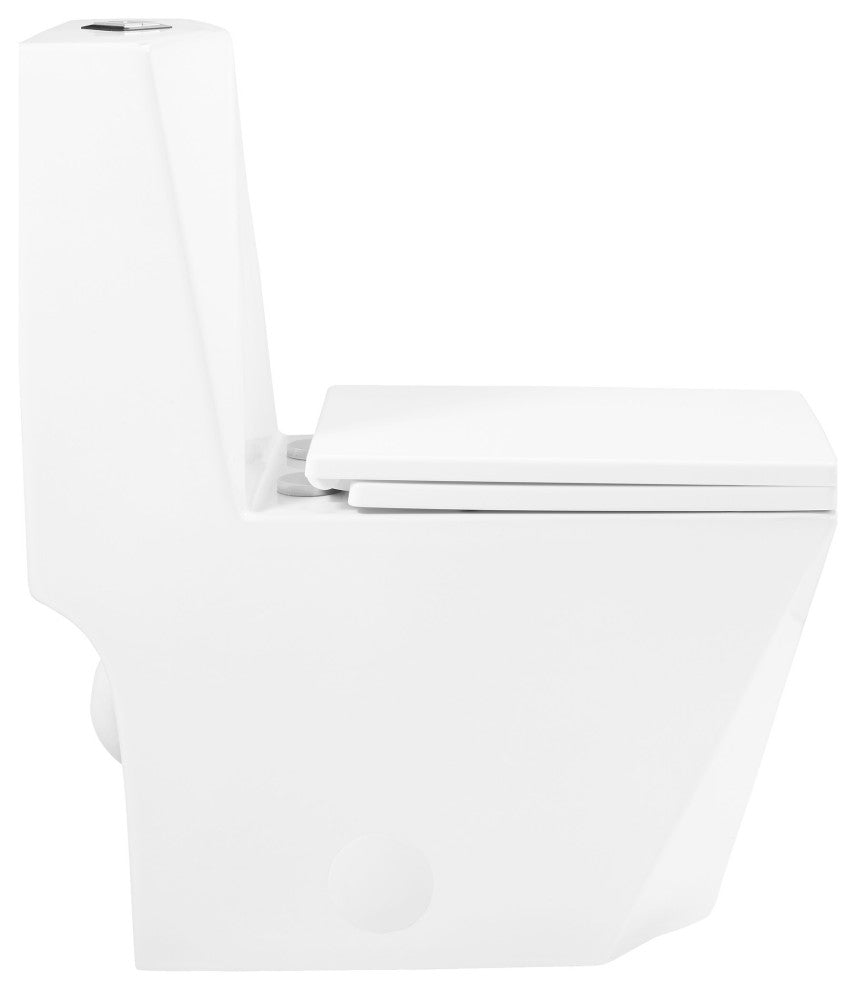 Brusque One-Piece Square Toilet Dual-Flush 1.1/1.6 gpf