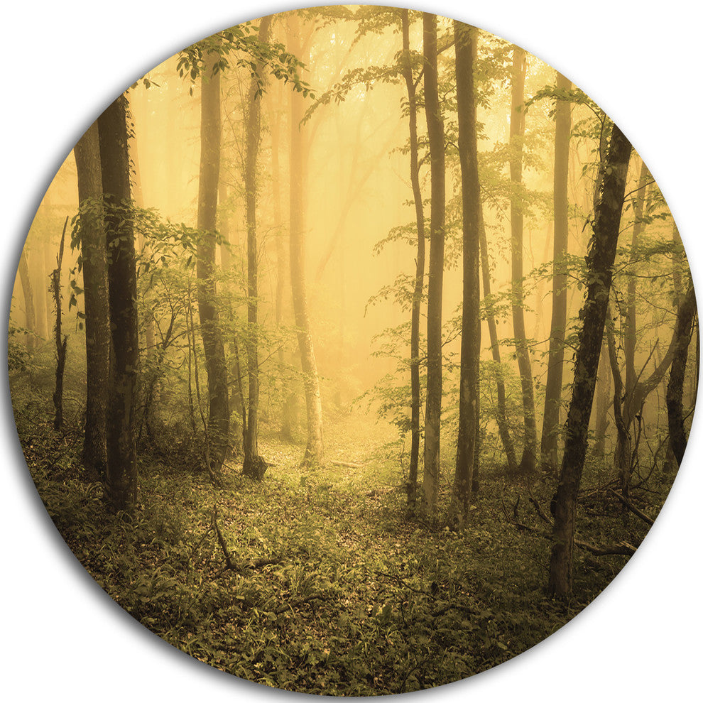 Trail Through Yellow Foggy Forest, Landscape Disc Metal Wall Art, 11"
