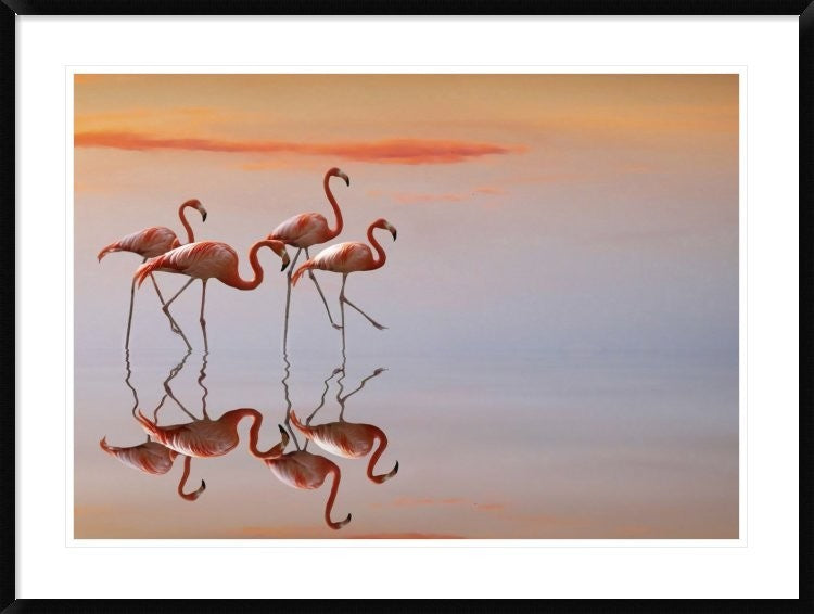 "Untitled" Framed Digital Print by Anna Cseresnjes, 44x33"