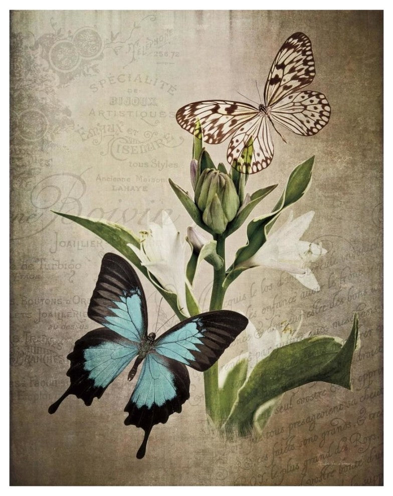 "Butterfly Botanical II" Digital Paper Print by Debra Van Swearingen, 18"x22"