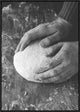 "Dough" Framed Canvas Giclee by Aleksandrova Karina, 22x31"