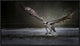 "Deadly Catch" Framed Canvas Giclee by Phillip Chang, 31x18"