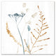 Wildflower Sprigs 16x16 Canvas Wall Art