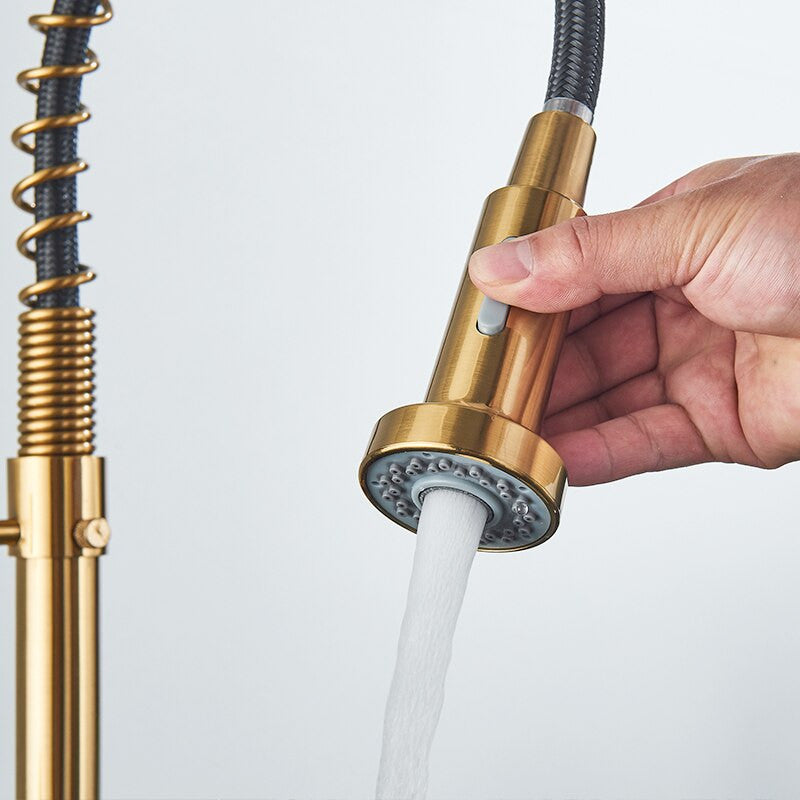 Pull Down Spring Spout Kitchen Faucet
