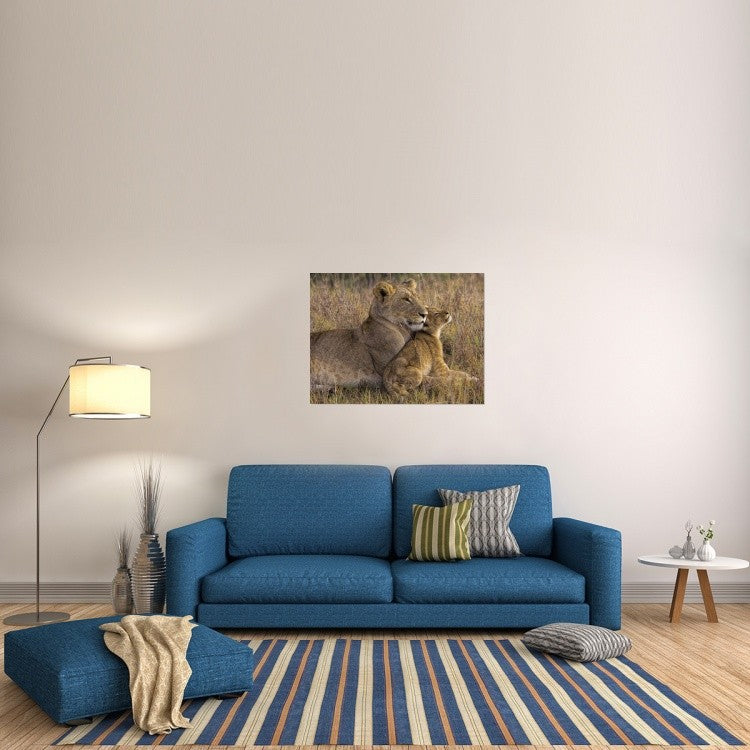 "Baby Lion With Mother" Stretched Canvas Giclee by Henry Jager, 40x30"