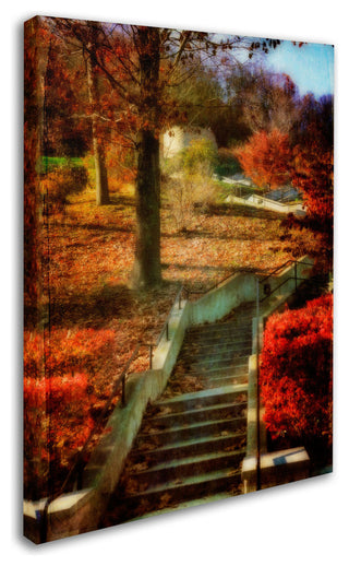 'Autumn Stairway' Canvas Art by Lois Bryan