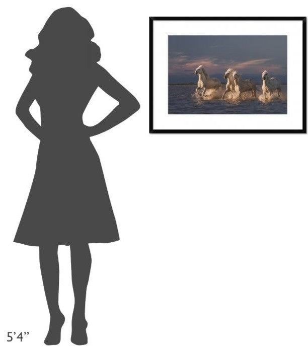 "Angels Of Camargue" Framed Digital Print by Rostovskiy Anton, 32x24"