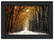 "Autumn to Winter" By Martin Podt, Printed Wall Art, Ready To Hang, Black Frame