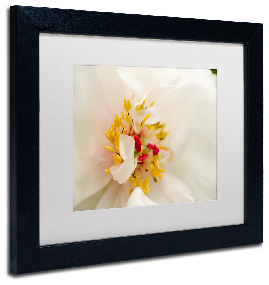 PIPA Fine Art 'Eye of Peony' Matted Framed Art, 14x11