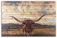 Longhorn Cow, Field Wood Plank Wall Art