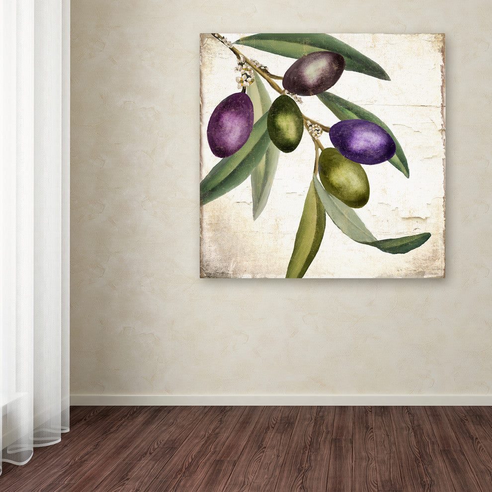 Color Bakery 'Olive Branch I' Canvas Art, 24x24