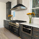 48" Dual Fuel Range, Stainless With Black and Champagne RAZ-BLM-48-CB