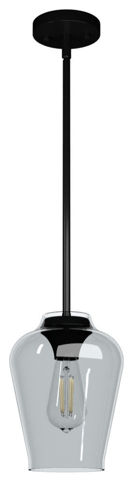 Vidria Matte Black 1 Light Mini Pendant Ceiling Light Fixture