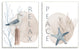 Nautical Seagull Starfish Peace Relax Tranquility Phrases Coral,10 x 15