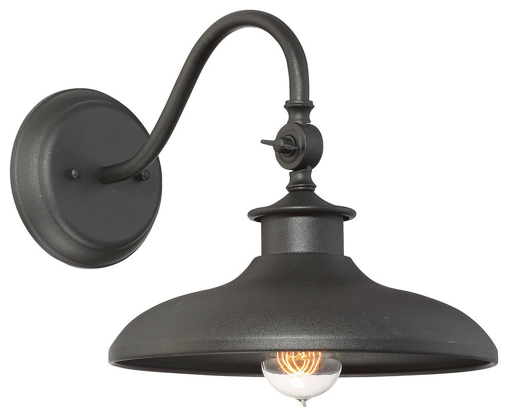 Outdoor Wall Lantern, 11"