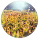 Summer Flowers On Sunny Day, Floral Disc Metal Wall Art, 23"
