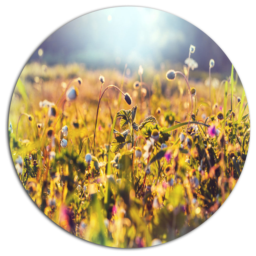 Summer Flowers On Sunny Day, Floral Disc Metal Wall Art, 23"