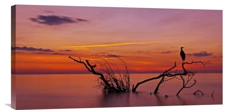 "Quiet Evening" Stretched Canvas Giclee by Verdon, 24x12"