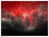'Hot and Cold' Canvas Art by Philippe Sainte-Laudy