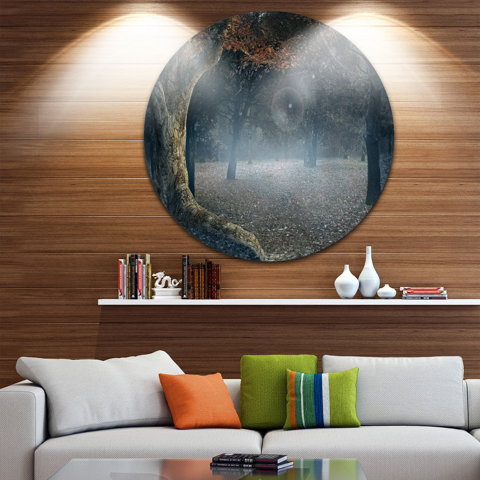 Big Trees In Dark Foggy Forest, Landscape Round Metal Wall Art, 11"