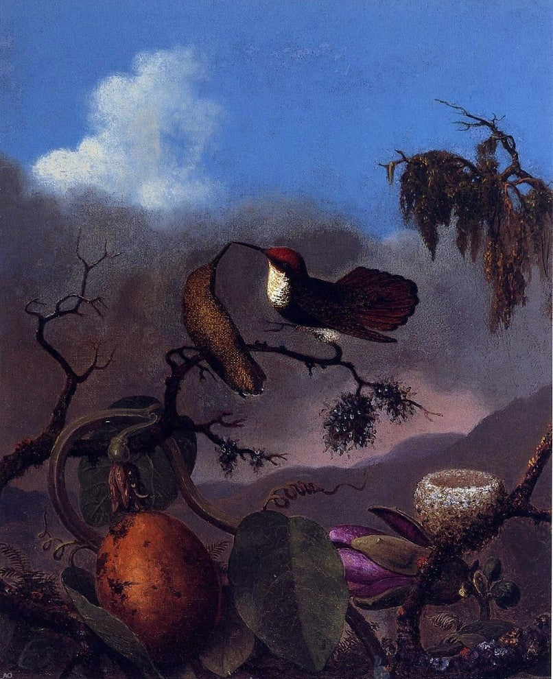 Martin Johnson Heade Ruby Topaz Hummingbirds, 20"x25" Wall Decal
