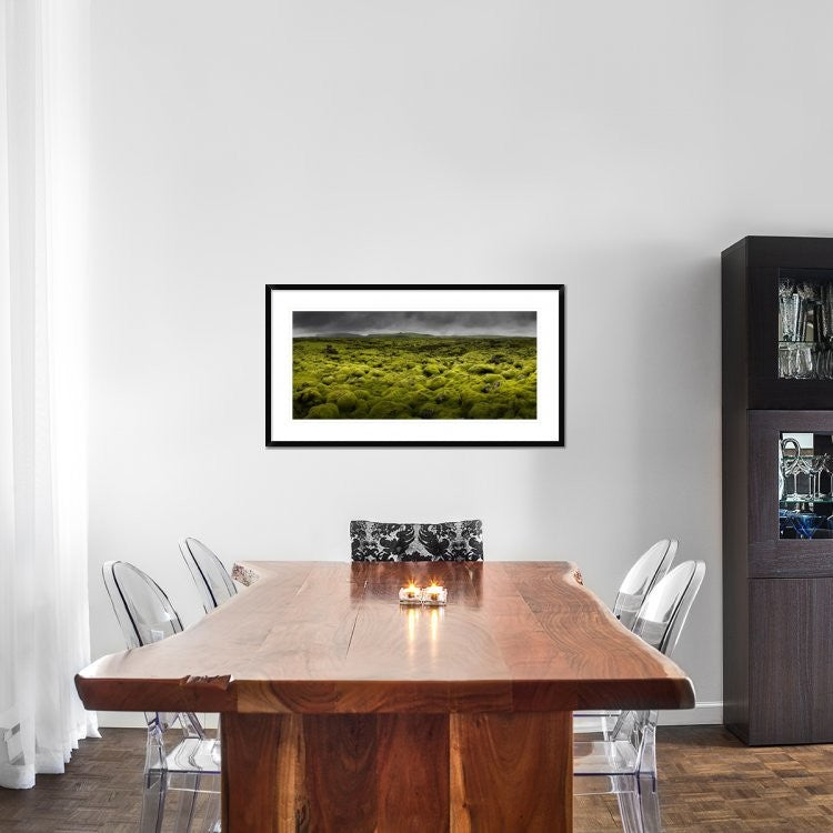 "Islandmoos I" Framed Digital Print by Franz Schumacher, 44x24"