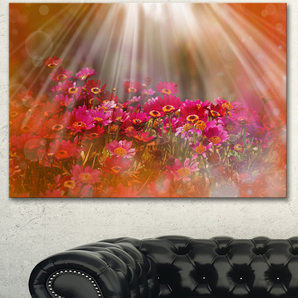 Sunlight Over Small Red Flowers, Large Floral Canvas Artwork, 40"x30"
