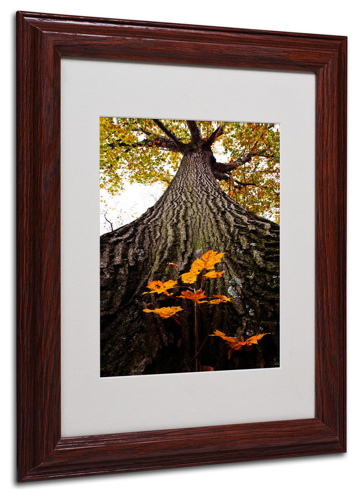 'Mighty Maple and Sapling' Matted Framed Canvas Art by Kurt Shaffer