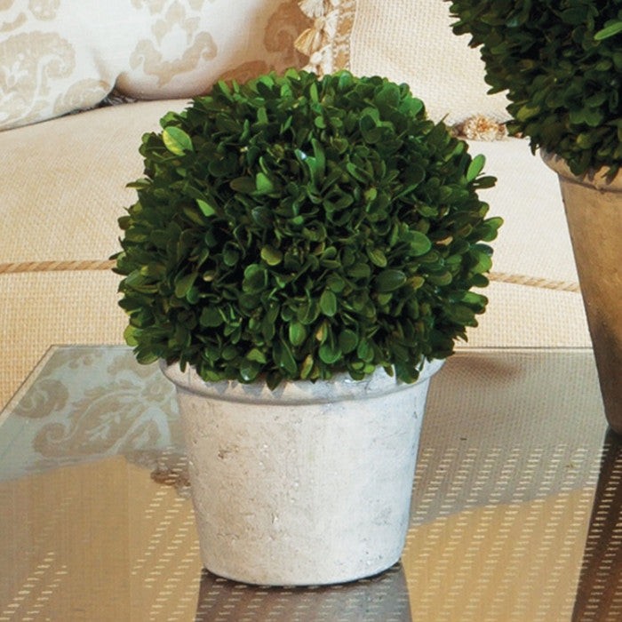 Elegant 12 in Ball Topiary in Pot Preserved Boxwood Greenery Faux Floral English