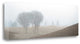 "Coastal Trail" By Alan Blaustein, Giclee Print on Gallery Wrap Canvas